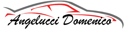 Logo Domenico Angelucci